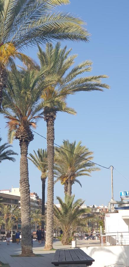 Costa Blanka Resident Apartman Torrevieja Eksteriør bilde